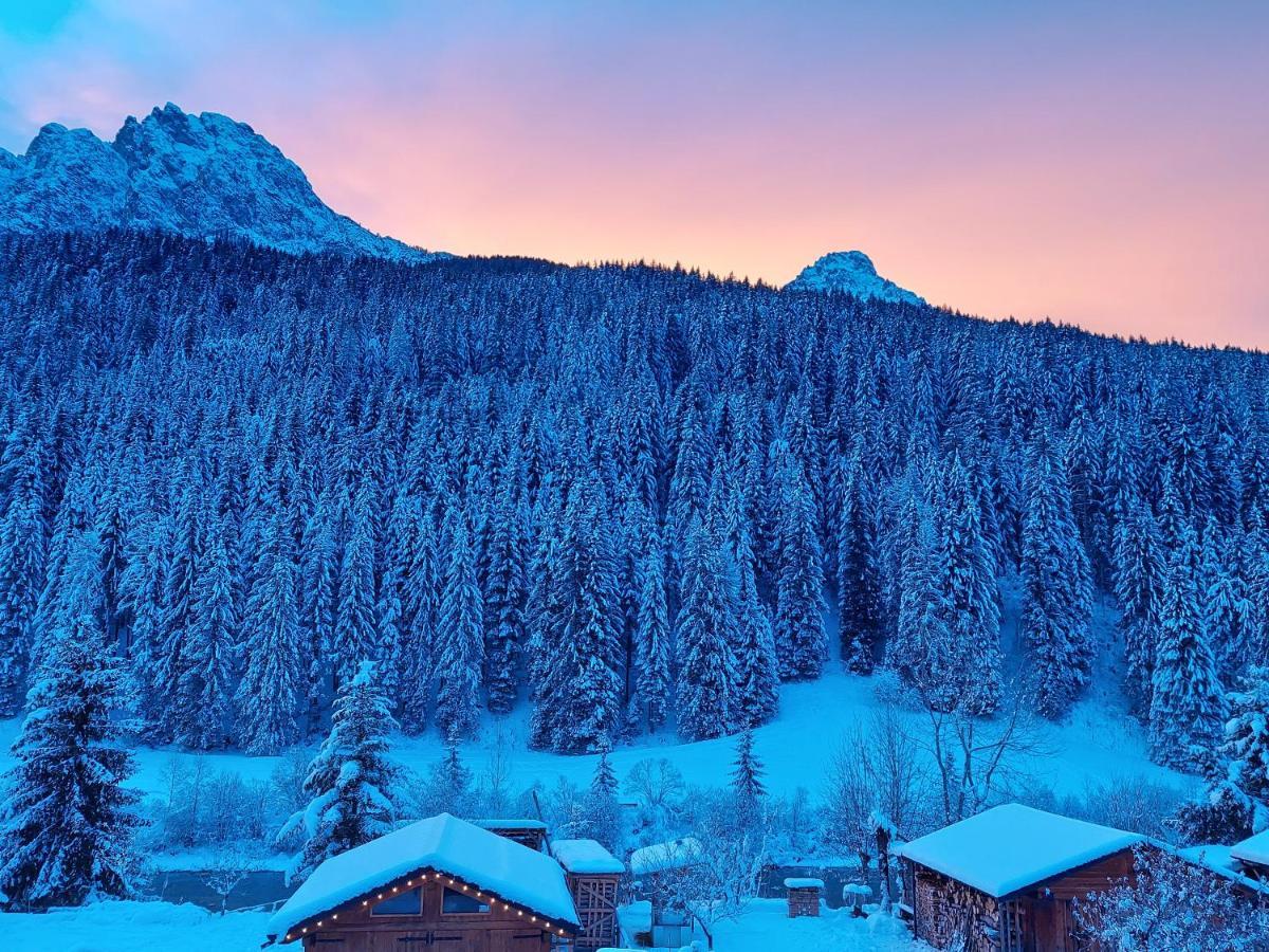 B&B A Ceda Toa San Pietro di Cadore Ngoại thất bức ảnh