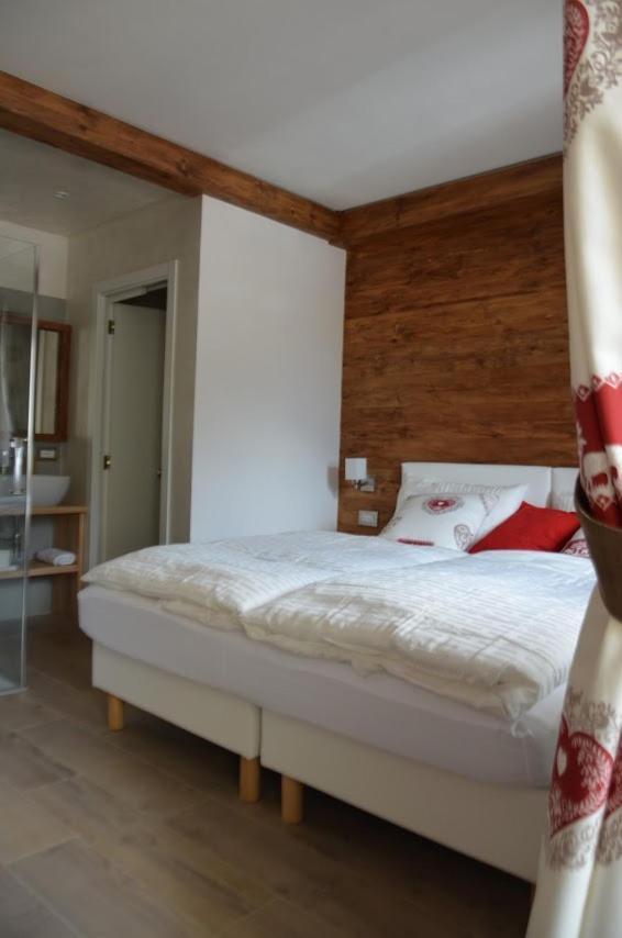 B&B A Ceda Toa San Pietro di Cadore Ngoại thất bức ảnh