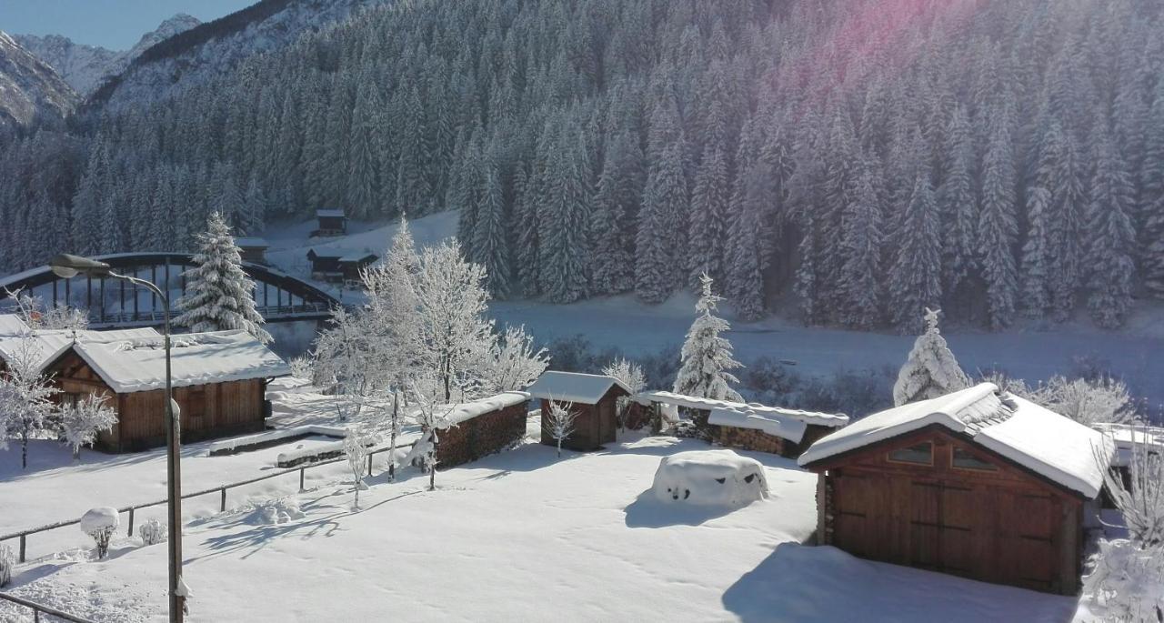 B&B A Ceda Toa San Pietro di Cadore Ngoại thất bức ảnh