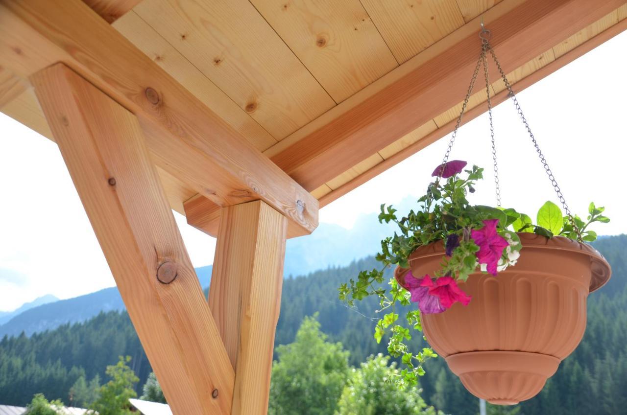 B&B A Ceda Toa San Pietro di Cadore Ngoại thất bức ảnh